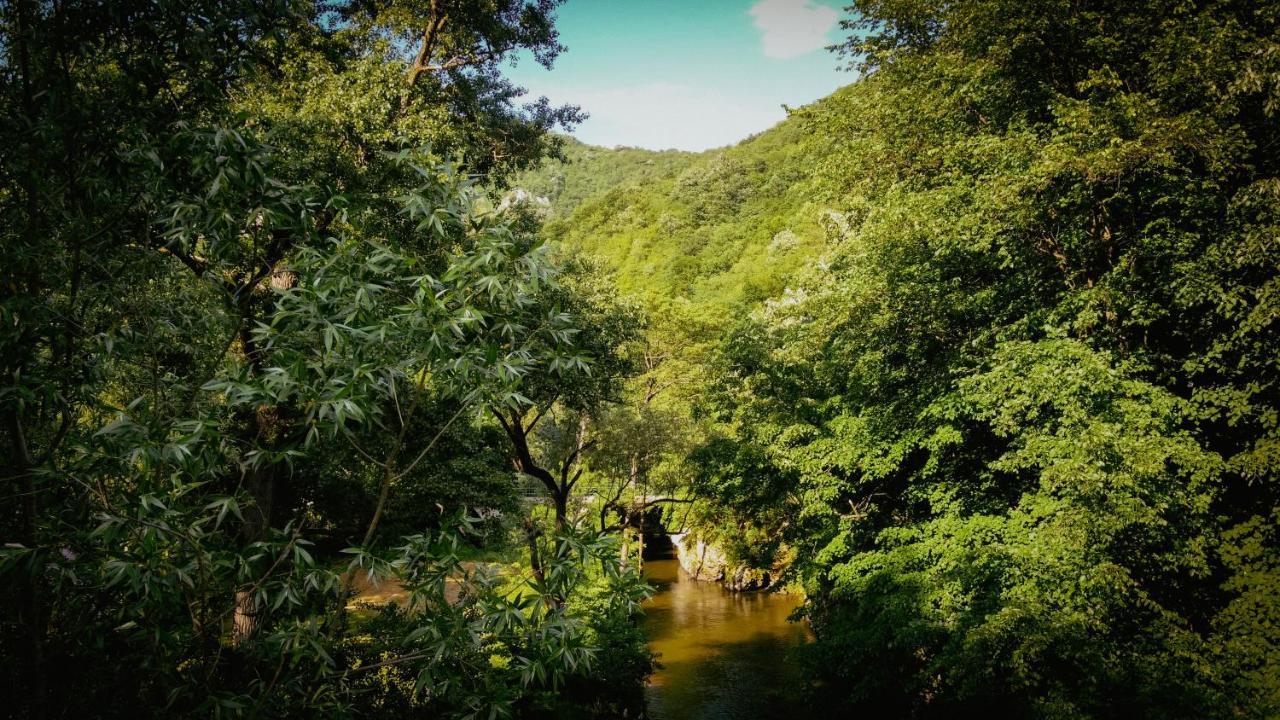 Restoran Sa Prenocistem Gornjak Krepoljin Экстерьер фото